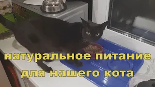 Натуральное питание для нашего кота.