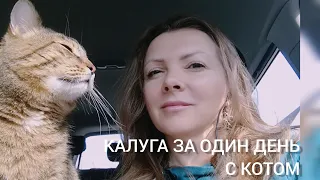 КАЛУГА ЗА ОДИН ДЕНЬ. С КОТОМ