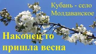 #201 Наконец то пришла весна! Переехали на Кубань. Живём на селе.