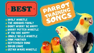 Easy Parrot Training,  Whistle Practice for Cockatiels,  Parrot Whistle Training