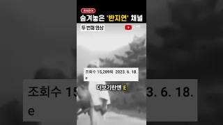 민희진이 숨겨놓은 소름돋는 영상들