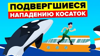 Семья потерпела крушение из-за косаток и затерялась в море - правдивая история.