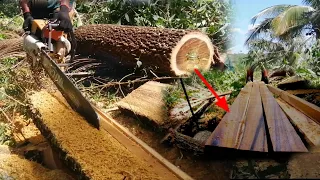 Incredible Skills at Work||Processing Logs Into Lumber Using 070 chainsaw//Freehand