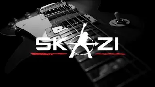 Mix DJ Skazi Guitar Tracks - Psychedelic Super Trance / Survive the Trip