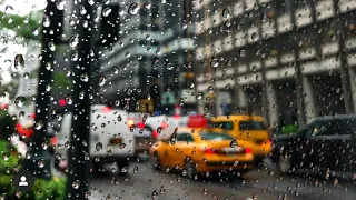 NEW YORK CITY 2019: RAINY MANHATTAN, THE BEACH OR THE NEW APPLE STORE? [4K]