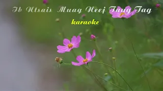 Ib Ntsais Muag Neej Tawg Tag karaoke (instrumental)