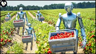 How Robots Harvest Millions Of Acres Of Farmland Every Day | Processing Factory