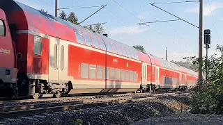 Ulm-Donautal: Regionalexpress RE 5 nach Friedrichshafen Stadt [Oktober 2023]