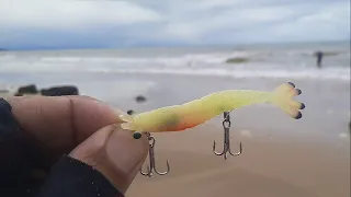 Camarão plug na praia ? aconteceu o sonho de todo robaleiro -  pescaria ultralight