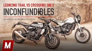 Benelli Leoncino 500 Trail vs Brixton Crossfire 500 X | Prueba y opinión