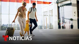 Quiero viajar con mi familia a EE.UU. ¿Es mejor visa familiar o individual? | Noticias Telemundo