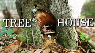 We Found A Hole In A Tree + Put A Miniature Room In it - No Glue!