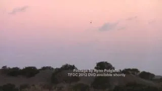 JAS 39 GRIPEN SHORT HD Twilight Display