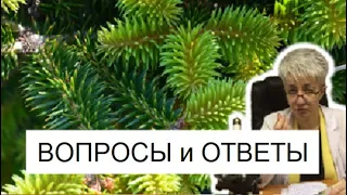 🔴 ВОПРОСЫ И ОТВЕТЫ. КОНСУЛЬТАЦИЯ ВРАЧА ОНЛАЙН. ВРАЧ Бублик Наталья Николаевна