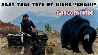 Saat Taal Trek in Gangotri Dham | Harsil Valley | Day 3 | Noida To Gangotri Via Harsil Valley