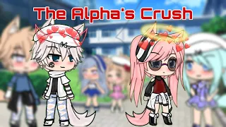 ||The Alpha’s Crush||Part 1||AltheaPlaysGacha||Read the desc.‼️||