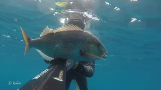 chasse sous marine chapon et denti dans peu de fond La colo du relais