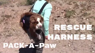 Emergency Dog Rescue - Pack-A-Paw Rescue Harness Review