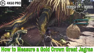 Monster Hunter: World - How to Measure a Gold Crown Great Jagras