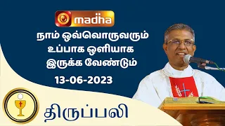 🔴 LIVE 13 JUNE 2023 Holy Mass in Tamil 06:00 PM (Evening Mass) | Madha TV