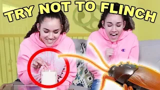 Try Not To Flinch CHALLENGE!!! (Haschak Sisters)