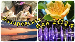 Лазаревское// май 2024//Вечерняя прогулка с друзьями// Закат