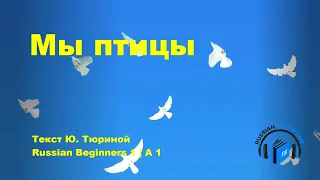 Learn Russian Through Simple Story | Level 1 | A1 | Russian Beginners 1 | Мы птицы