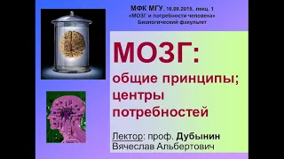 Лекция 1. "Мозг: общие принципы; центры потребностей" Лектор: Дубынин В.А. (МГУ)