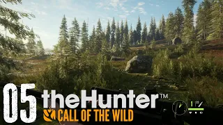 theHunter: Call of the Wild - Part 5 - Cinnamon Black Bear Kill