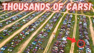 This Guy has THOUSANDS of Cars! What will I Bring Home?