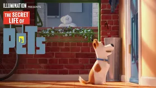 The Secret Life Of Pets | Meet Max & Gidget (HD) | Illumination