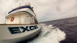 EXCEL SPORTFISHING EXPERIENCE