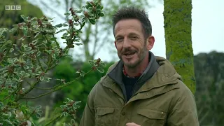 Gardeners' World 2019 E12