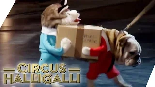 Aushalten: Nicht lachen (Tag Team Edition) Vol. 2 - TEIL 4 | Circus Halligalli  | ProSieben