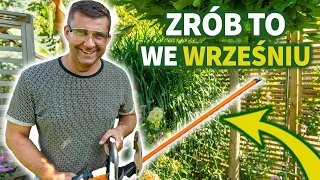 Prace ogrodowe przed jesienią. Co trzeba zrobić w ogrodzie we wrześniu.