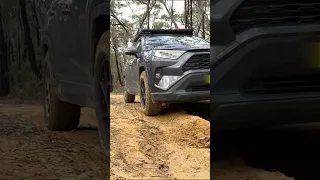 RAV4 Hybrid vs muddy ruts