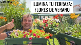 FLORES RESISTENTES para terrazas con mucho SOL Y CALOR: decorar con @NorteneTV FLORIA || en20metros