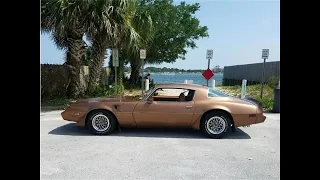 1979 Pontiac Firebird Trans Am