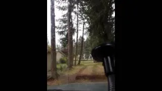 Ford pulling down a tree