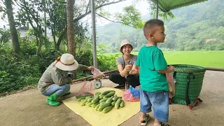 Harvesting cucumbers to sell, weeding around the three-story bamboo house, the girl lives alone