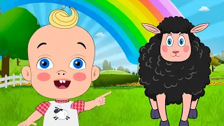 Baa Baa Black Sheep + Wheels on the Bus - Baby songs - Nursery Rhymes & Kids Songs