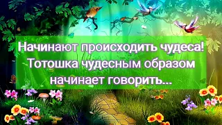 Буктрейлер по сказочной повести А. М. Волкова "Волшебник изумрудного города"