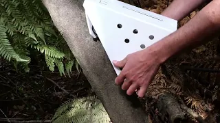 How to Set a SENTINEL Possum Trap