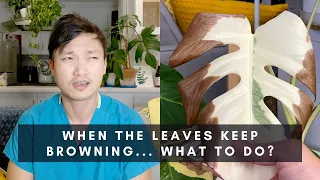 3 Last Resorts Against Leaf Burn & Browning | Indoor Houseplant Care Tips | Ep 138