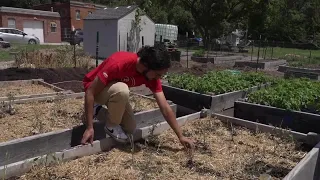 Program aims to end food insecurity: "We're really taking the space and moving it forward"