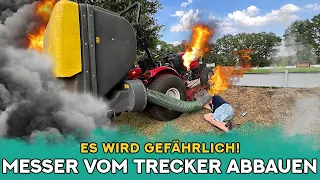 Wir brauchen EURE Hilfe dringend. Schaut bitte bis zum Ende! | Udo & Wilke