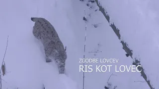 Zgodbe lovcev -  Ris kot lovec