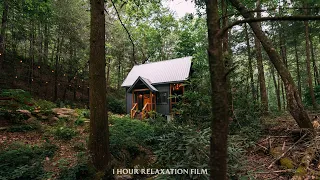 Creekside Cabin - Relaxation FIlm with Peaceful Flowing Water asmr