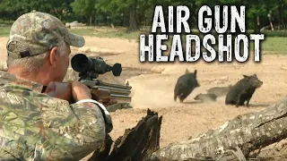 AIR GUN Hog Hunting using THERMAL