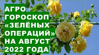 Агрогороскоп "зелёных операций" на август 2022 года